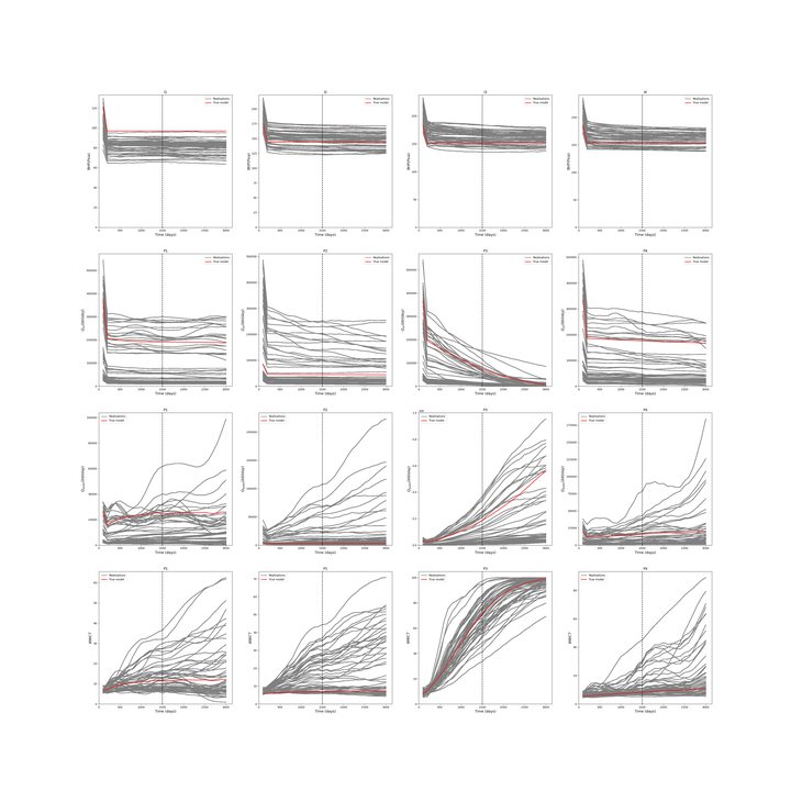 Prior ensemble